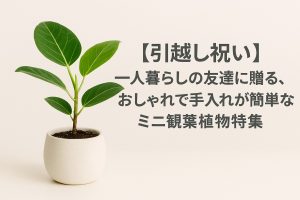 【引越し祝い】一人暮らしの友達に贈る、おしゃれで手入れが簡単なミニ観葉植物特集