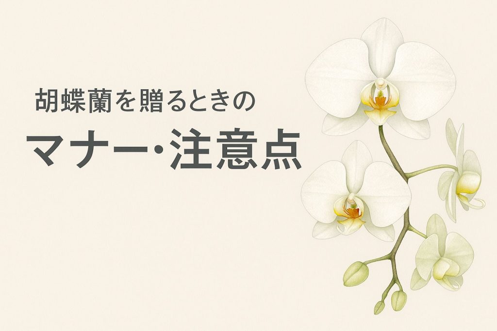 胡蝶蘭を贈るときのマナー・注意点