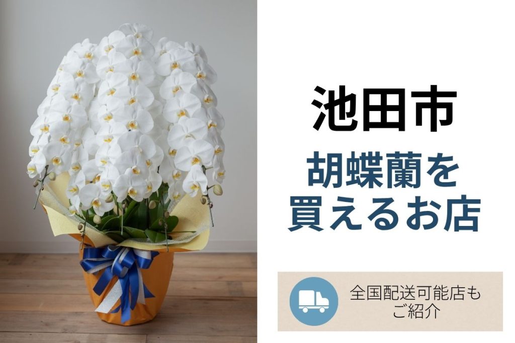 【池田市】胡蝶蘭を買えるお花屋さん｜開店祝い・全国配送対応のフラワーショップまとめ