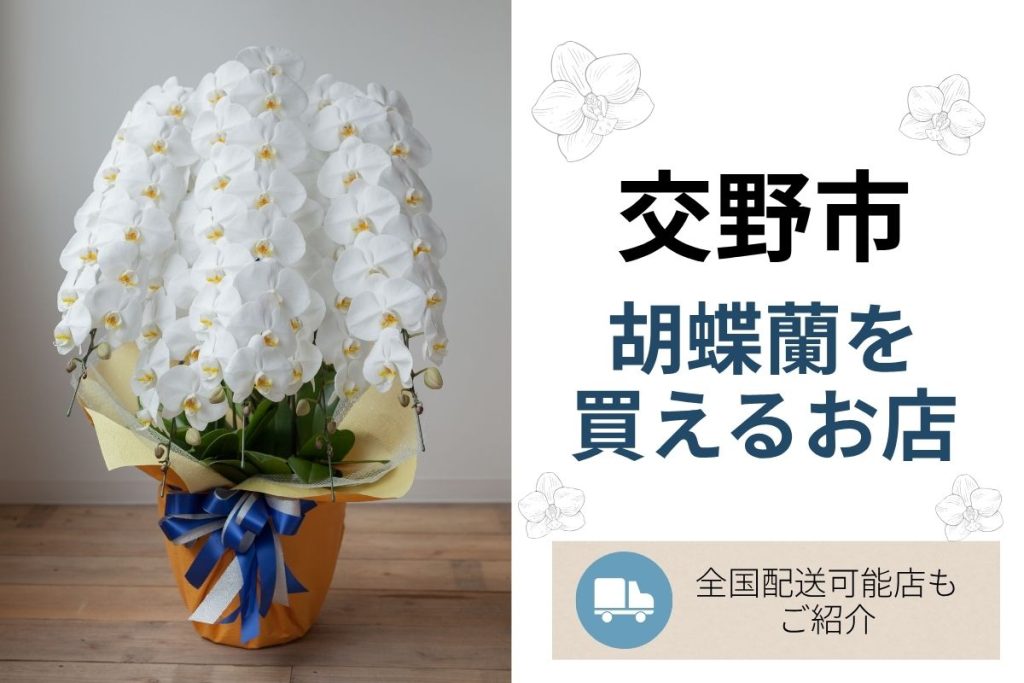 【交野市】胡蝶蘭を買えるお花屋さん｜開店祝い・全国配送対応のフラワーショップまとめ