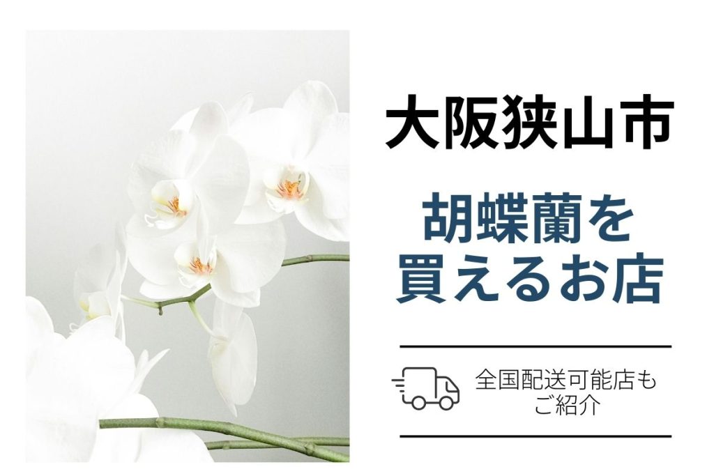 大阪狭山市の胡蝶蘭｜翌日配送ネット通販7選と花屋手配（開店・就任・移転祝い）