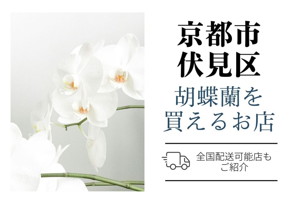 京都市伏見区で胡蝶蘭を手配するなら？おすすめ通販とお花屋さん