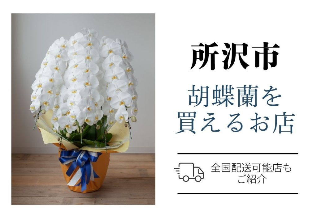 【所沢市】胡蝶蘭をお祝いに贈る｜おすすめショップとお値段・マナー解説