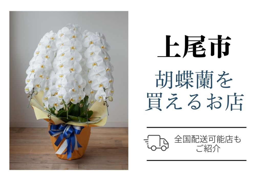 【上尾市】開店祝い・就任祝い｜おすすめ胡蝶蘭ネットショップとお花屋さん