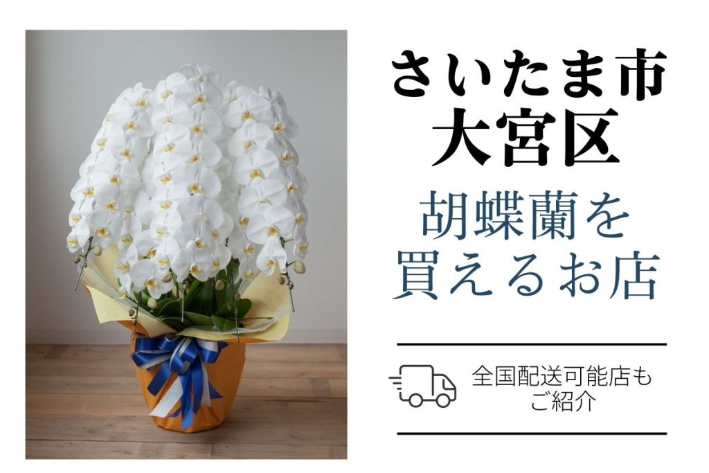 【大宮区】胡蝶蘭を探すなら｜高品質・安値で翌日配送通販＆店舗をご紹介