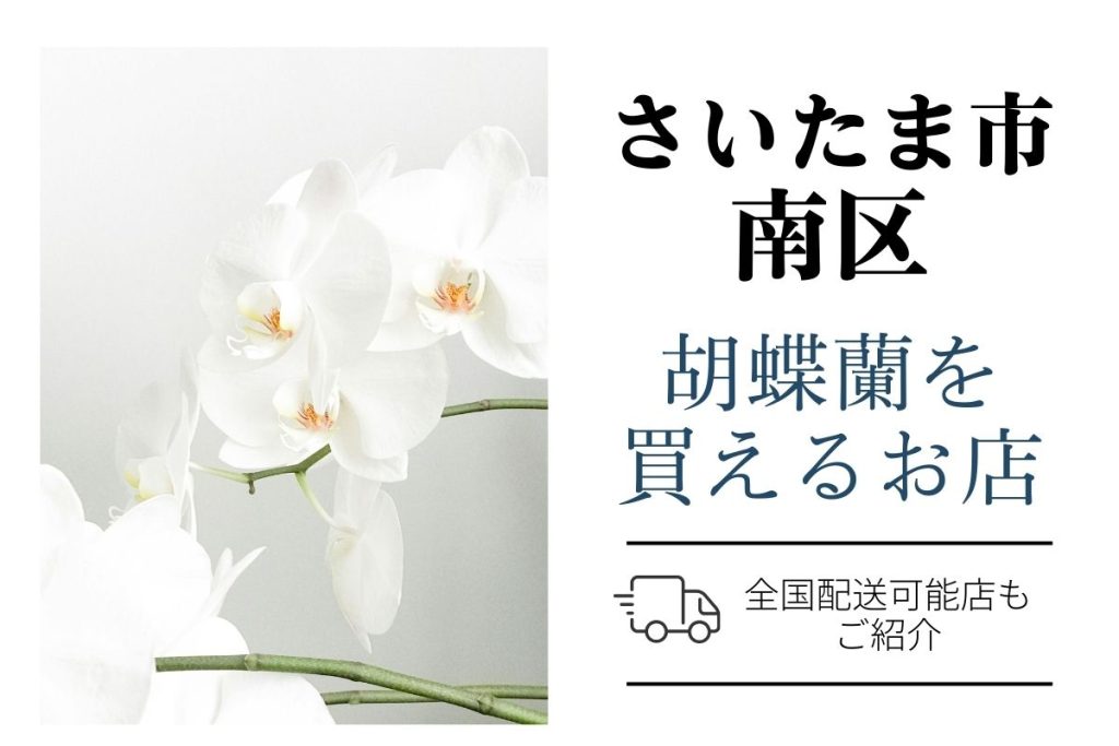 【さいたま市南区胡蝶蘭】おすすめショップ｜価格相場や定番マナーも解説