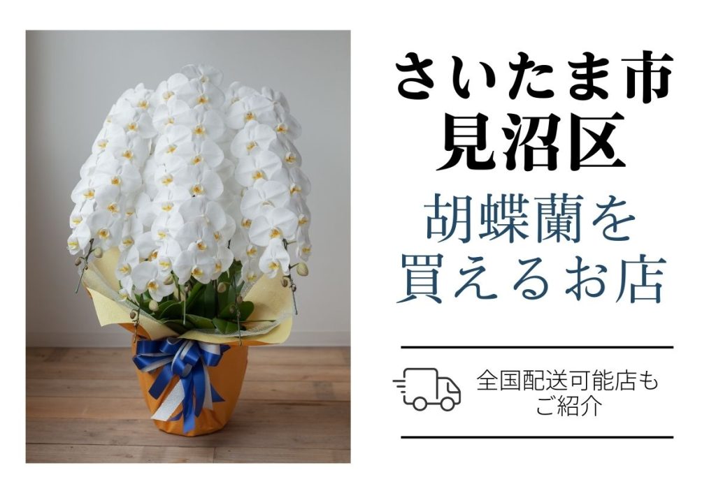 【さいたま市見沼区】胡蝶蘭をお祝いに贈る｜おすすめショップとお値段・マナー解説