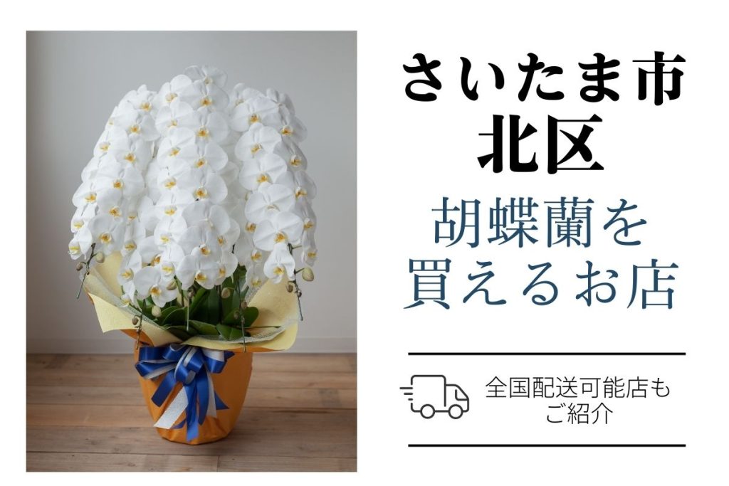 【さいたま市北区】胡蝶蘭を購入｜評判のネットショップと地元のお花屋さん