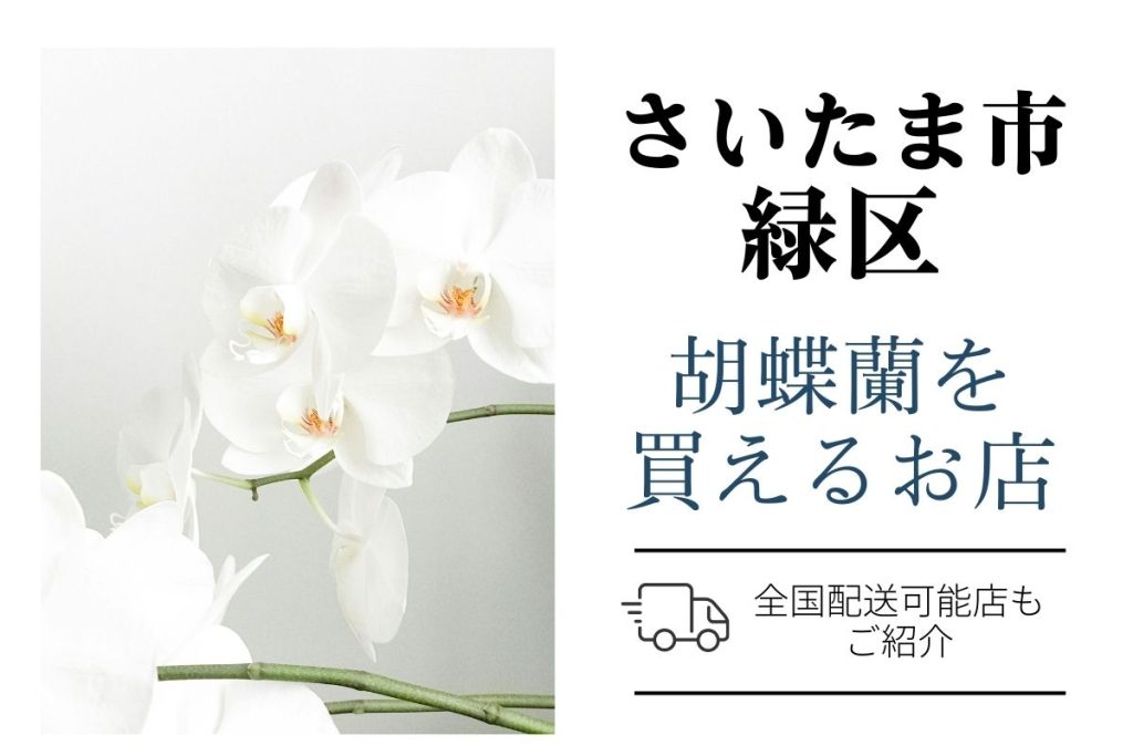 【さいたま市緑区】胡蝶蘭が購入できるお店｜開店祝い・翌日配送にも対応