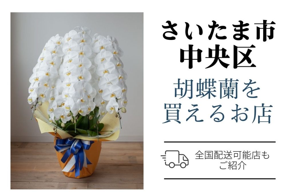 【さいたま市中央区】胡蝶蘭が購入できるお店｜開店祝い・翌日配送にも対応