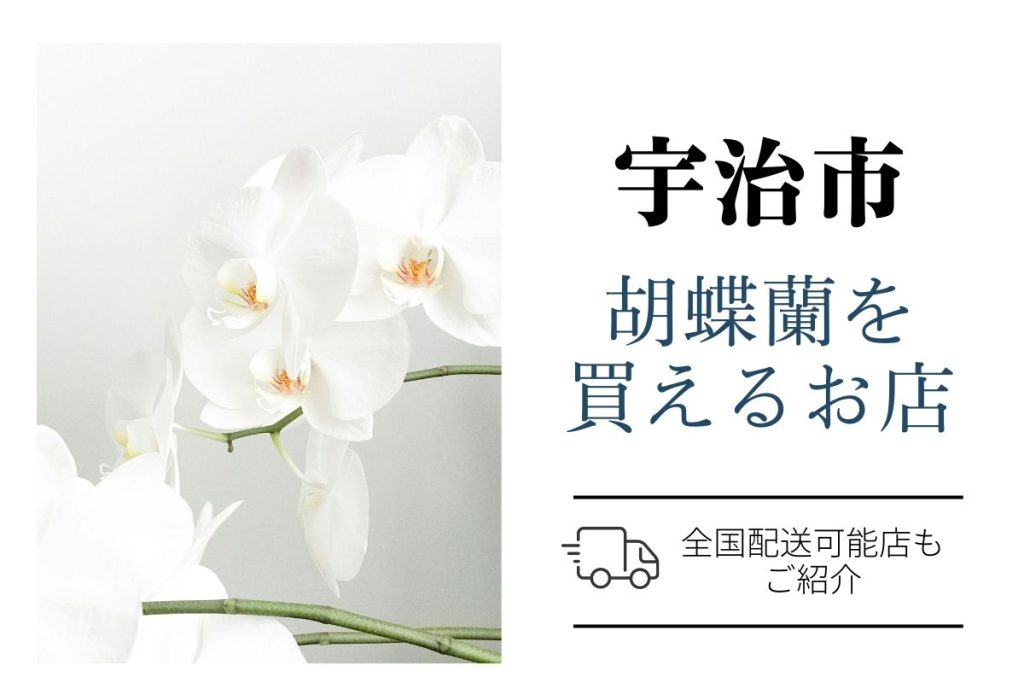 【宇治市】開店祝いの胡蝶蘭｜ネット通販と地域の生花店おすすめショップ。翌日配送も対応