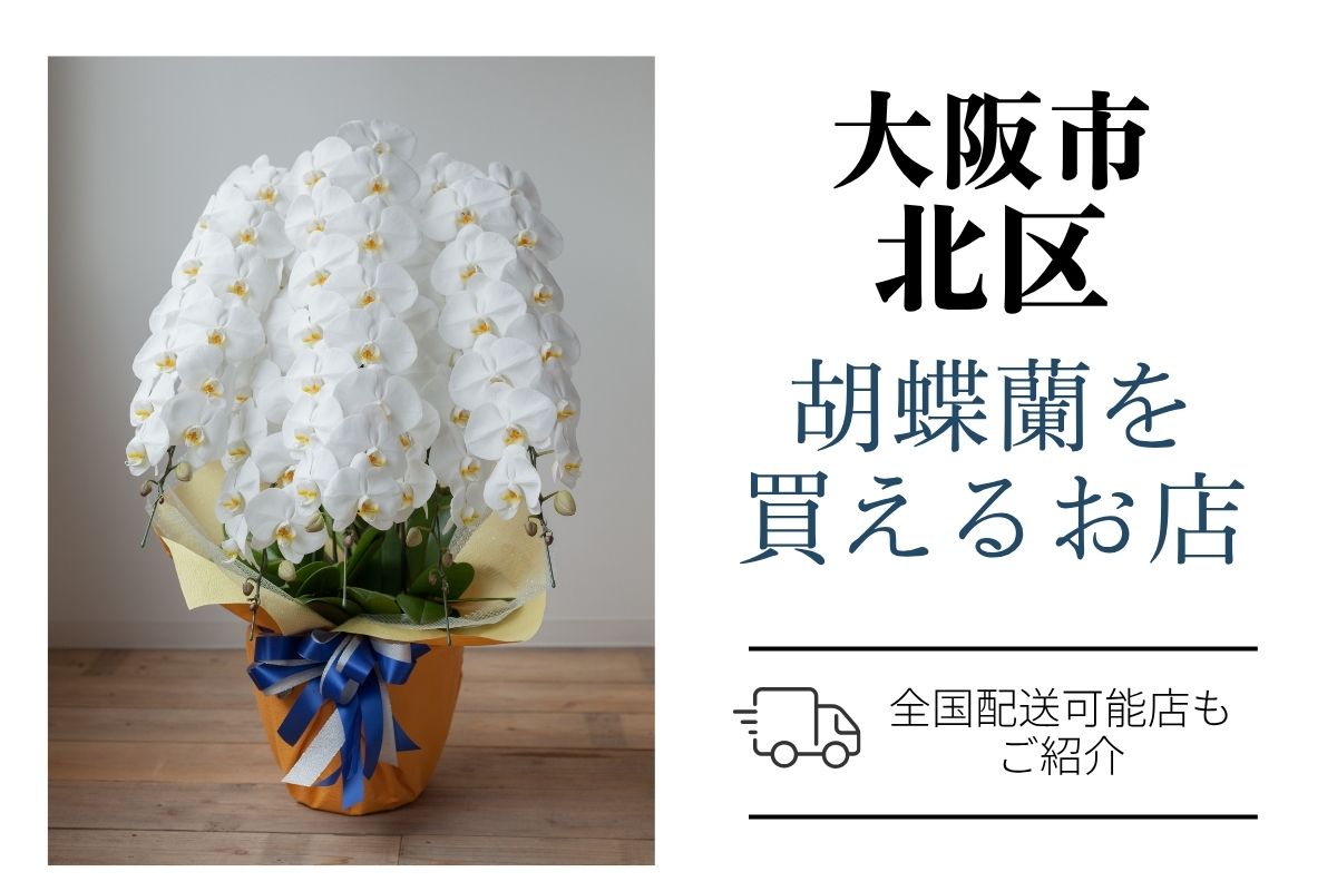 【大阪市北区】胡蝶蘭のおすすめショップ｜高品質・安値で翌日配送ネット通販＆地域のお花屋さん
