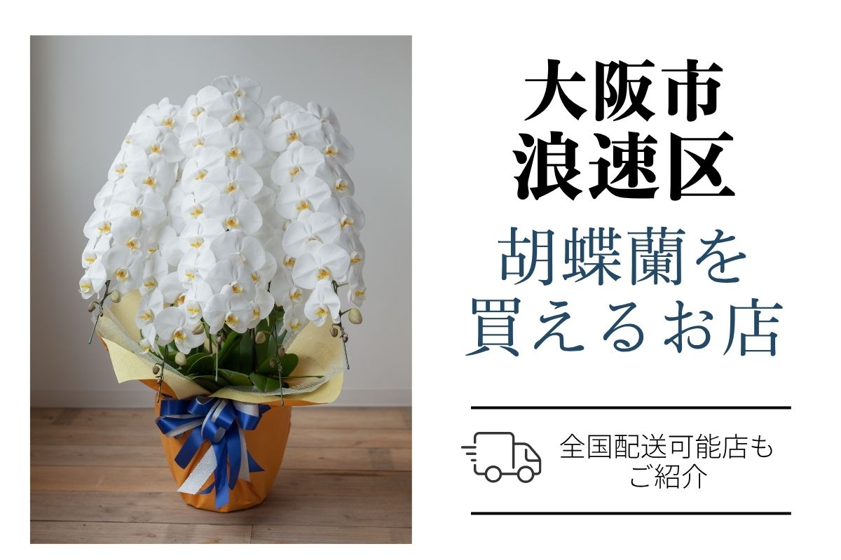 【大阪市浪速区】胡蝶蘭を買うならどこ？当日・翌日配送OKなおすすめ店と相場まとめ