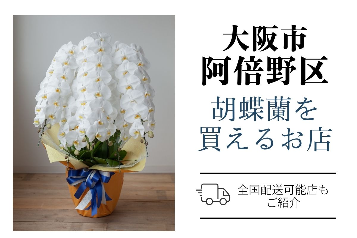【阿倍野区】胡蝶蘭が購入できるお店｜開店祝い・翌日配送にも対応
