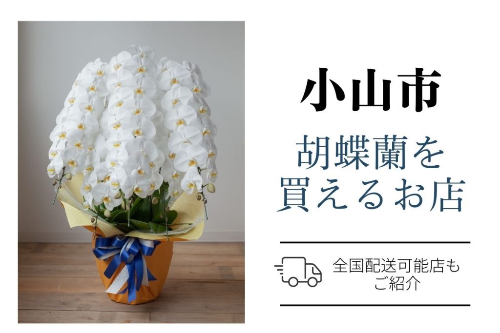 【小山市】胡蝶蘭が購入できるお店｜開店祝い・翌日配送にも対応