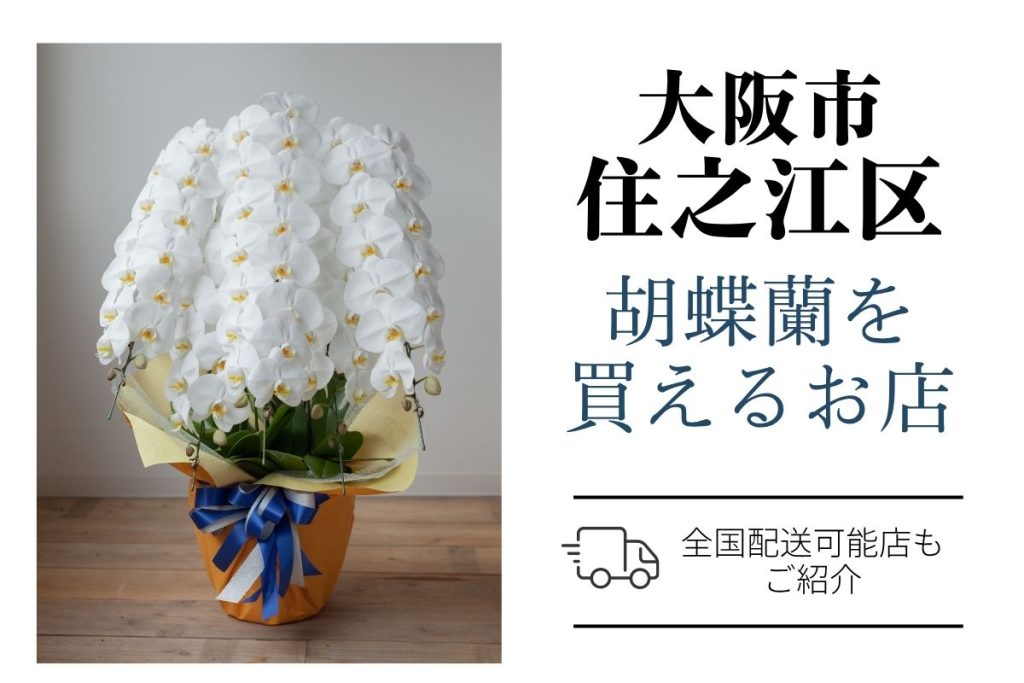 住之江区の胡蝶蘭選び｜高品質・安値で翌日配送ネット通販＆店舗比較