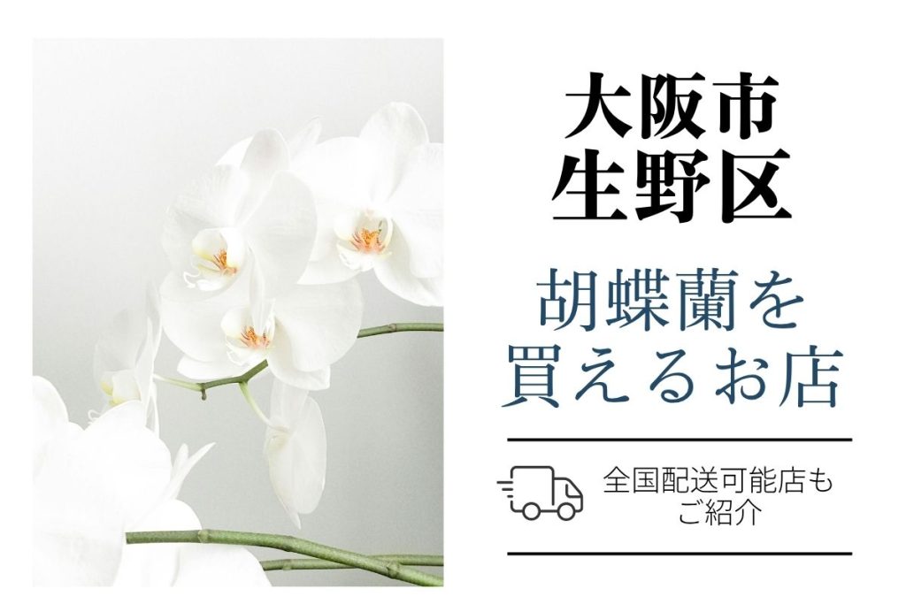 生野区で胡蝶蘭を購入｜おすすめネットショップ6選と地元花屋さん
