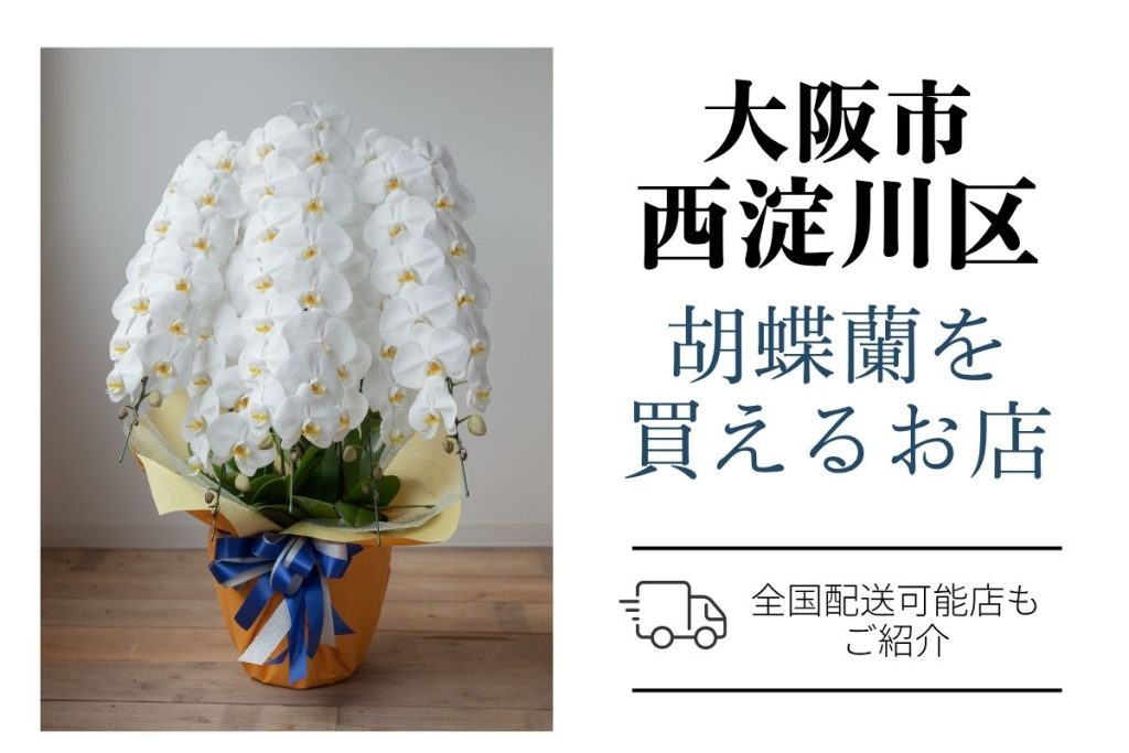 【西淀川区】胡蝶蘭が購入できるお店｜開店祝い・翌日配送にも対応