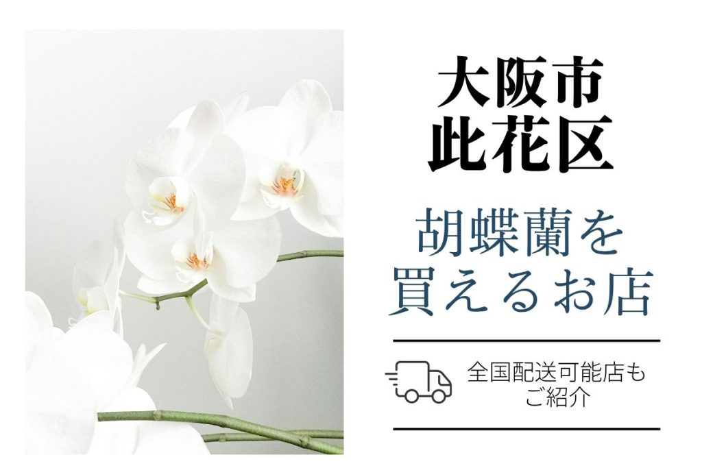 此花区の胡蝶蘭選び｜高品質・安値で翌日配送ネット通販＆店舗比較