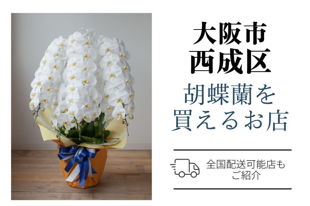 【西成区】胡蝶蘭が購入できるお店｜開店祝い・翌日配送にも対応