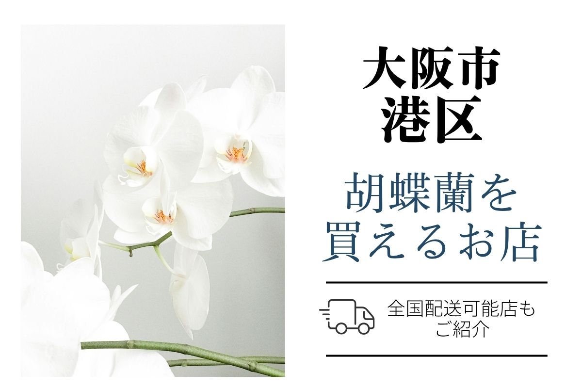 【大阪市港区】胡蝶蘭が購入できるお店｜開店祝い・翌日配送にも対応