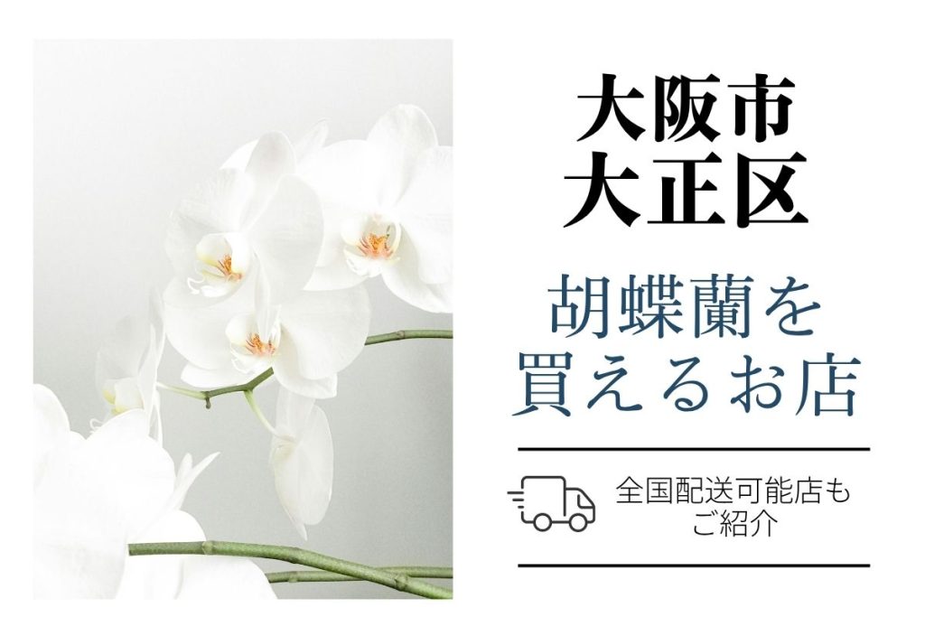 【大正区】胡蝶蘭が購入できるお店｜開店祝い・翌日配送にも対応