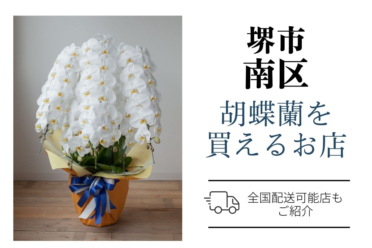 堺市南区で胡蝶蘭を購入｜おすすめネットショップ6選と地元花屋さん