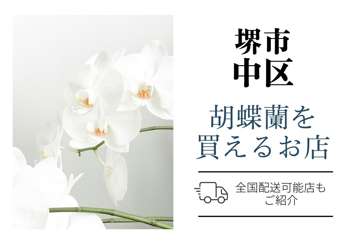 【堺市中区】胡蝶蘭が購入できるお店｜開店祝い・翌日配送にも対応