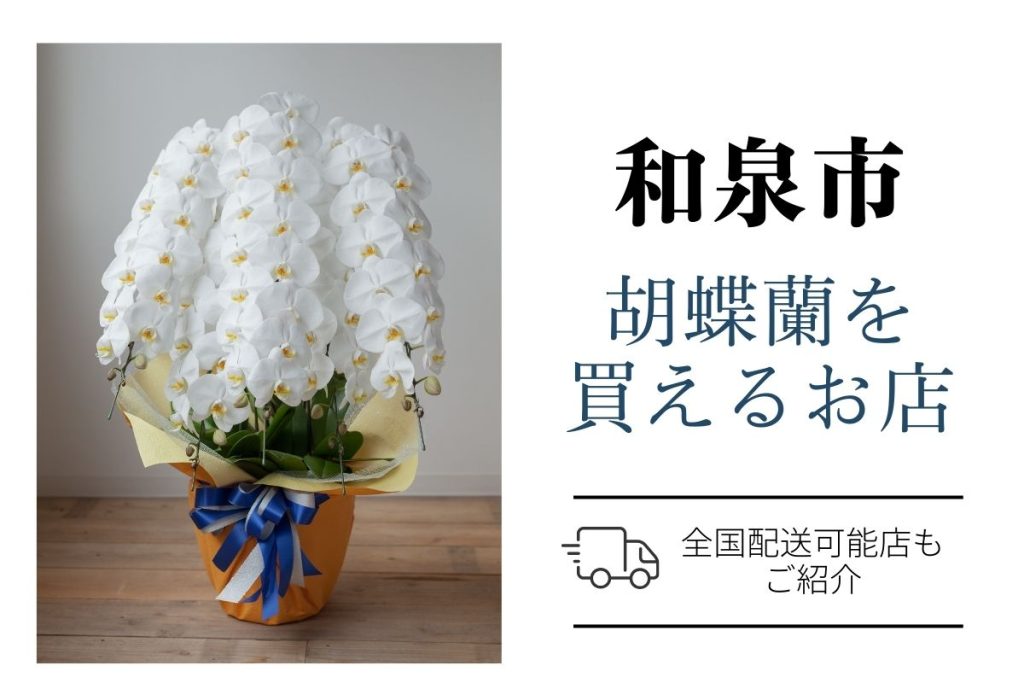 【和泉市】胡蝶蘭を購入｜おすすめネットショップ6選と地域のお花屋さん。開店祝い・翌日配送にも対応