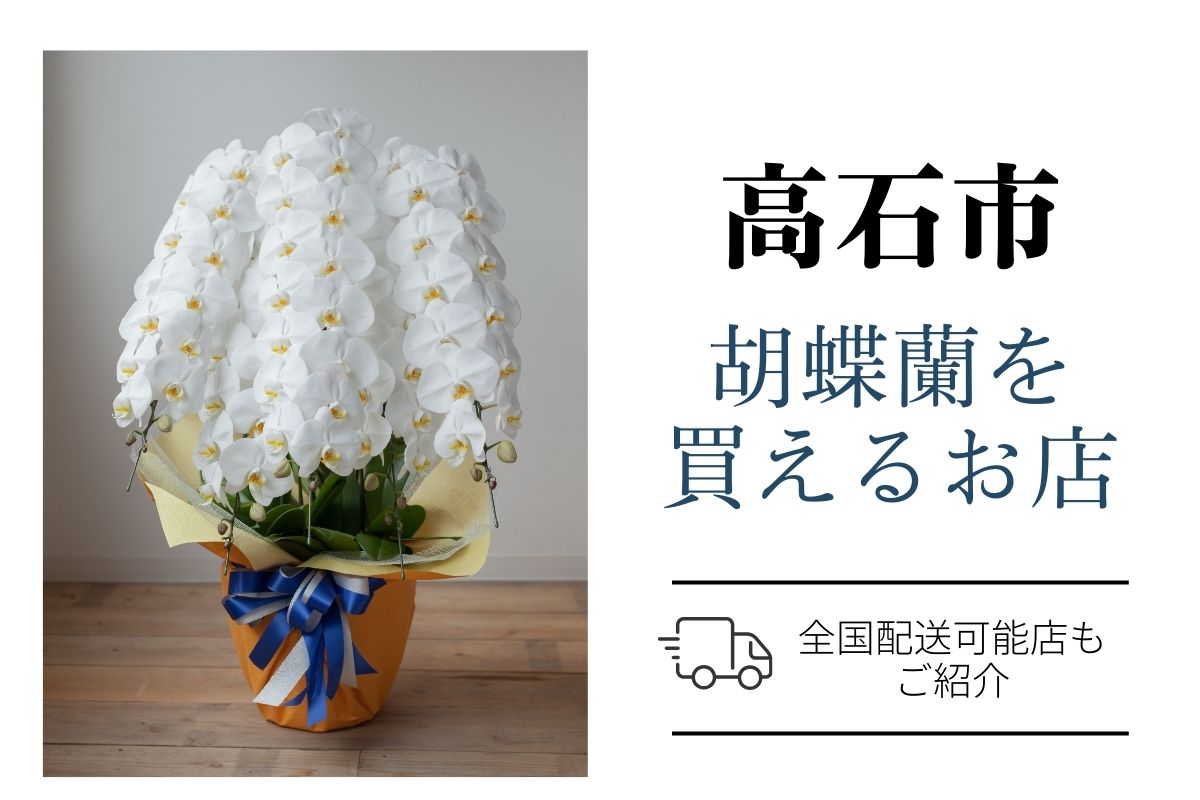 高石市の胡蝶蘭選び｜高品質・安値で翌日配送ネット通販＆店舗比較