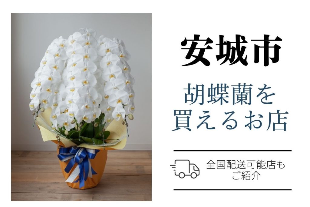 【安城市】胡蝶蘭が購入できるお店｜開店祝い・翌日配送にも対応