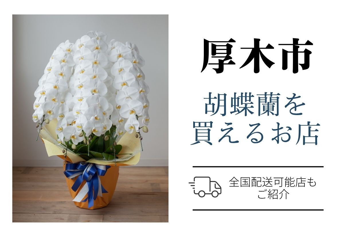 【厚木市】胡蝶蘭のおすすめショップ｜価格相場や定番マナーも解説