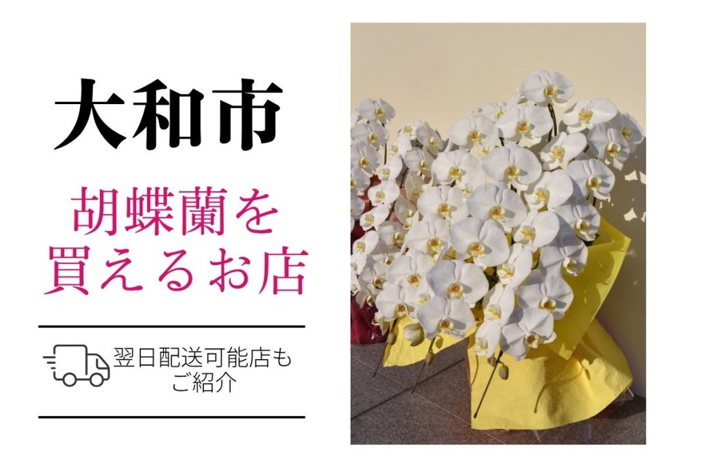【大和市】胡蝶蘭のおすすめショップ｜価格相場や定番マナーも解説