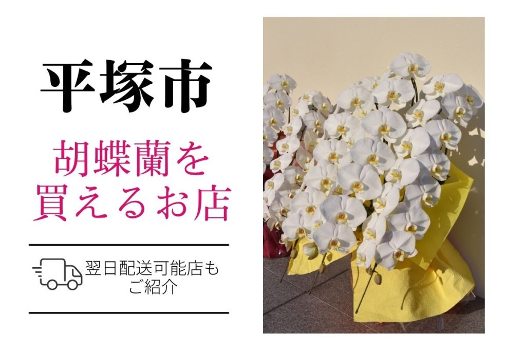 【平塚市】胡蝶蘭が購入できるお店｜開店祝い・翌日配送にも対応