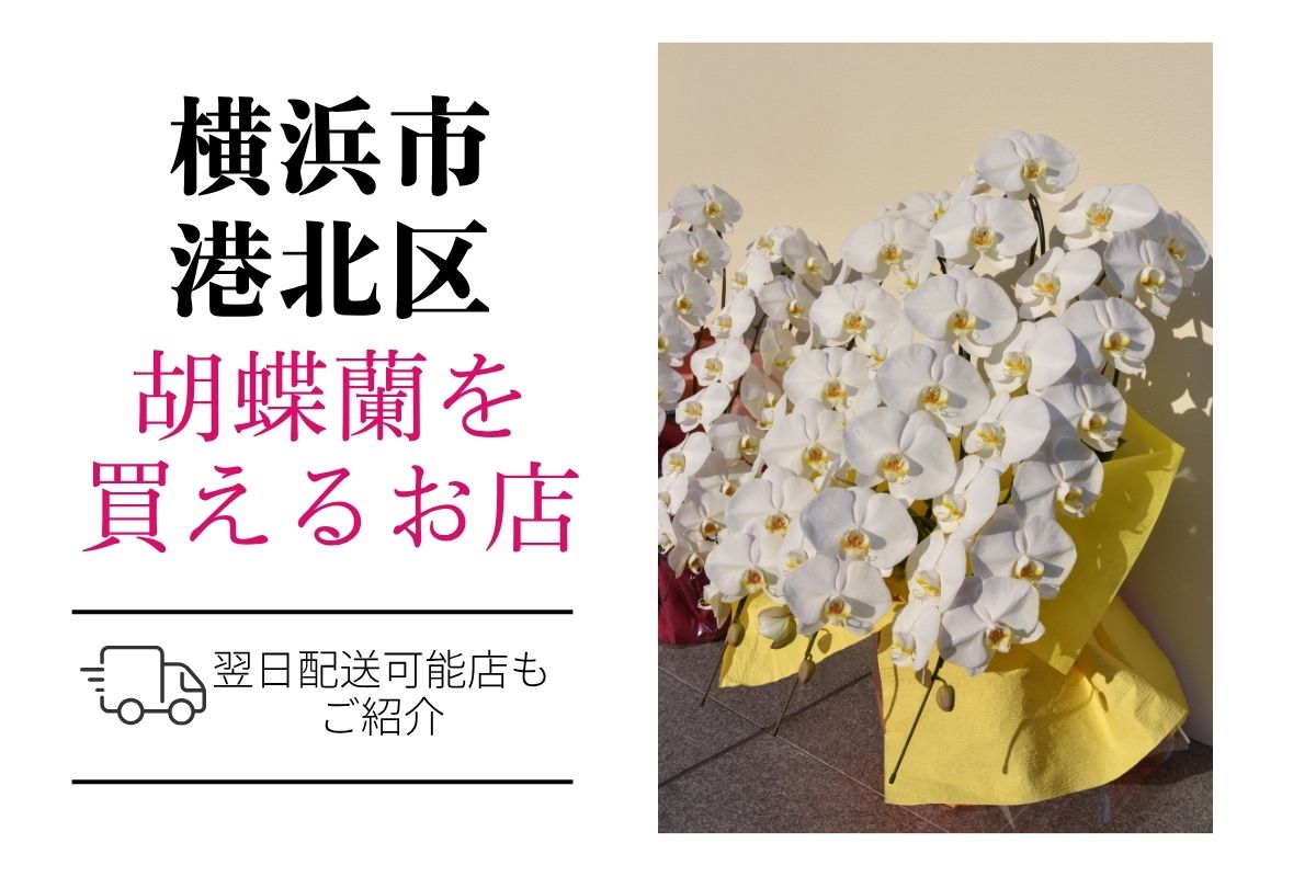 【横浜市港北区】胡蝶蘭が購入できるお店｜開店祝い・翌日配送にも対応