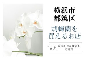 【横浜市都筑区】胡蝶蘭が買えるネットショップ＆地域のお花屋さん｜開店祝い・翌日配送にも対応