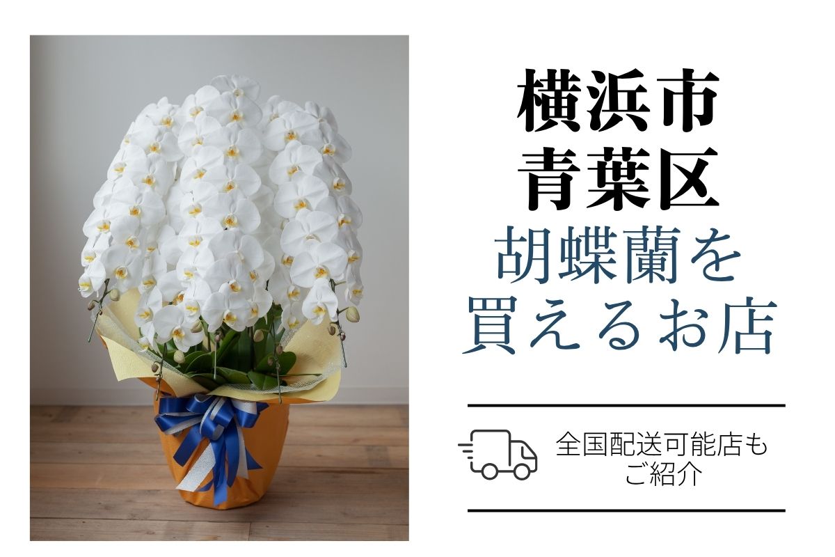 【横浜市青葉区】胡蝶蘭のおすすめショップ｜価格相場や定番マナーも解説